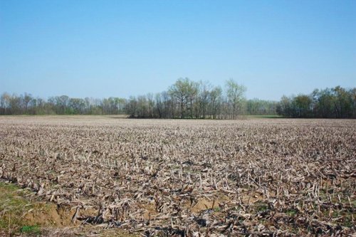 Property photo 21 - 641 Acres Offered in 16 Tracts - 545 Cropland Acres